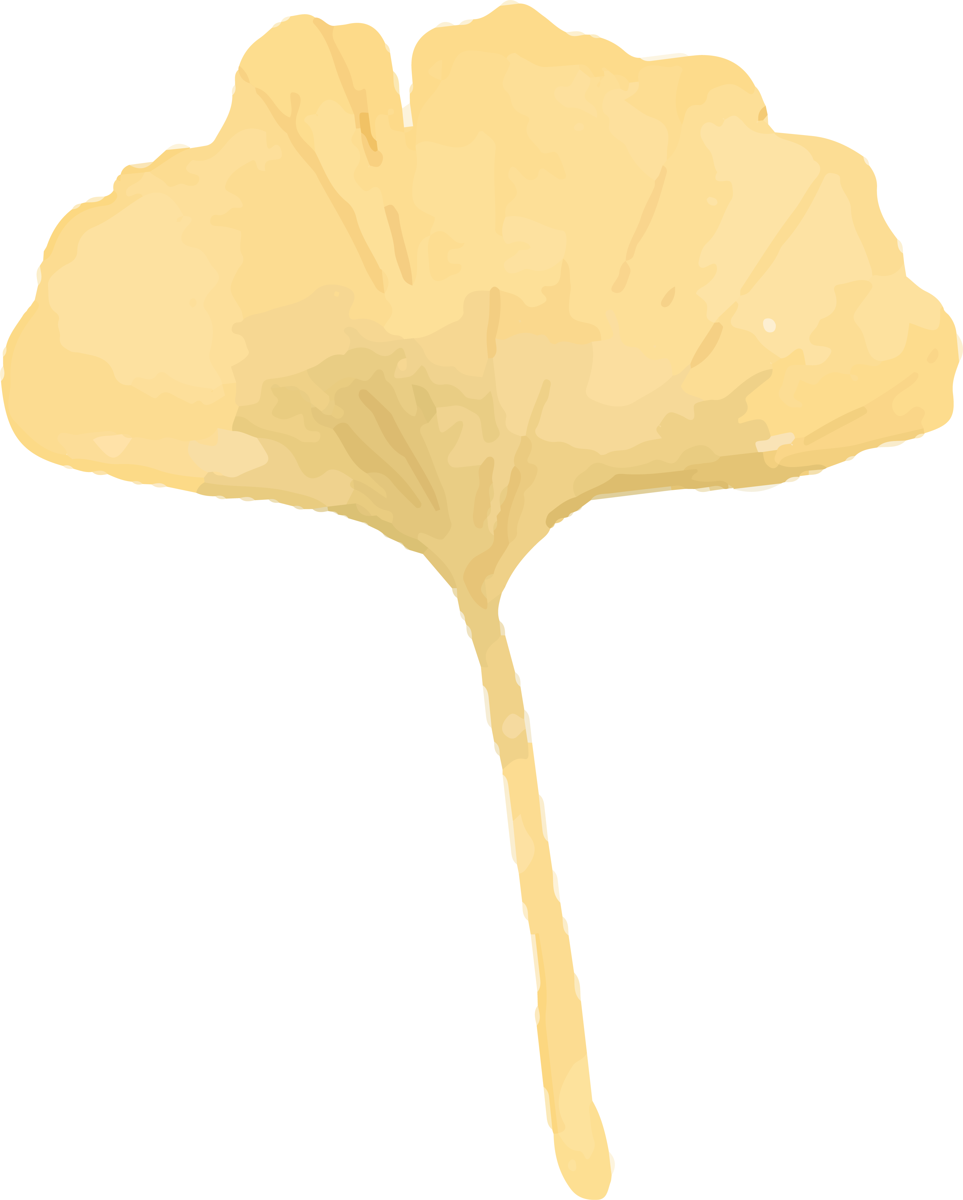 ginkoblatt